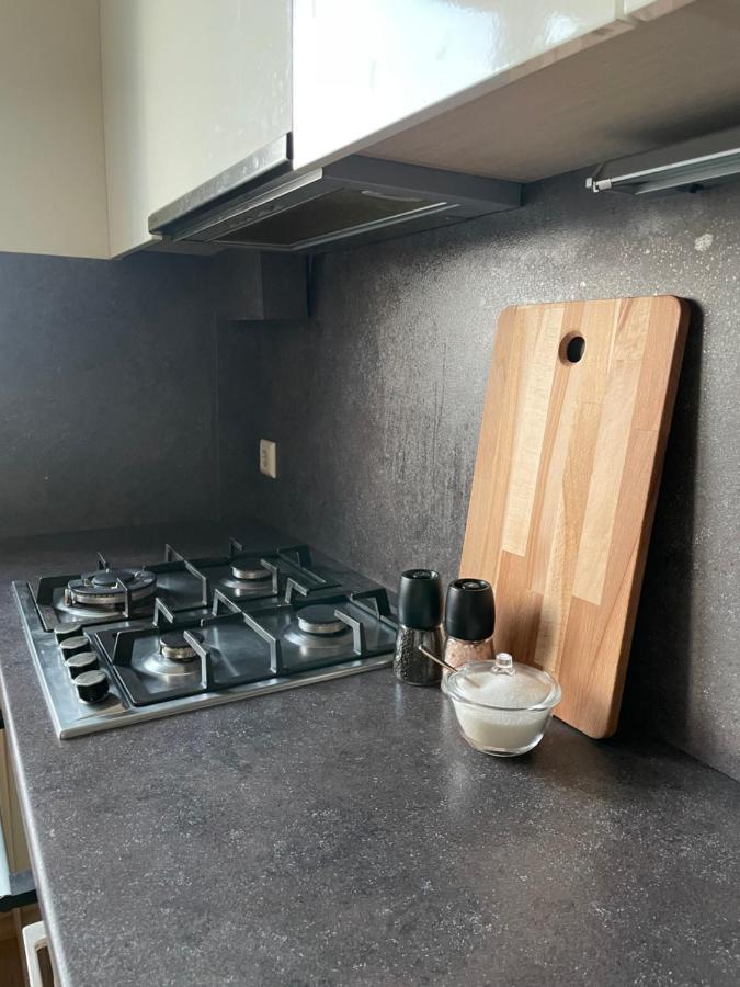Mg Apartment Каунас Екстер'єр фото